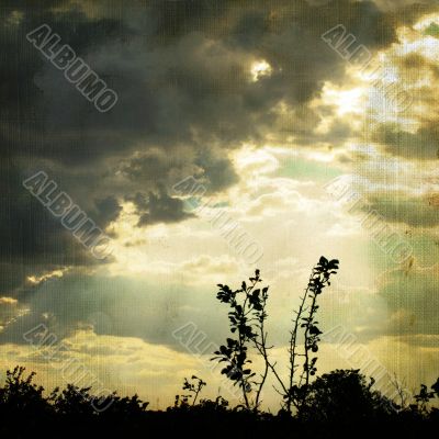 vintage background with plant and cloud. vintage background with plant and cloud.