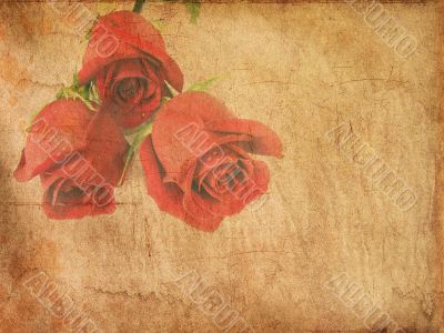 Grunge paper with red roses    