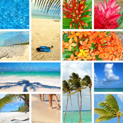 Tropical collage. Exotic travel. 