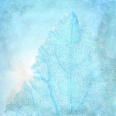 Blue background with a textured leaf 