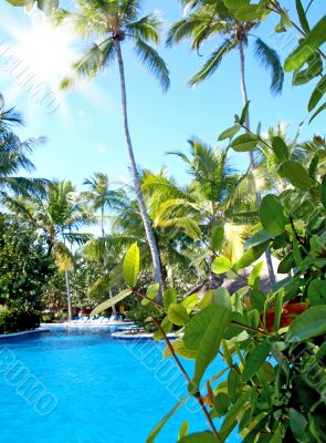 Vacations in the tropics by the pool.