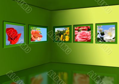 Gallery of flowers. Gallery of flowers.
