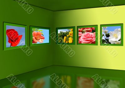 Gallery of flowers.