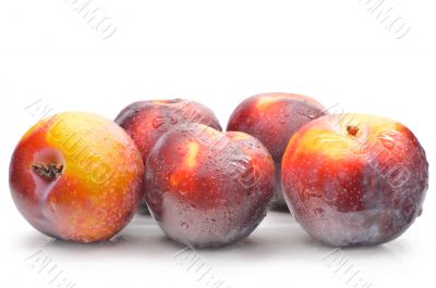 Ripe plums on a white background