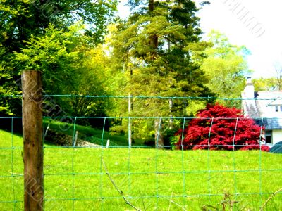 Beautiful house Behind Fence