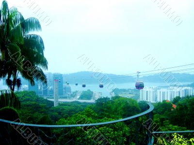 Row Of Cable Cars