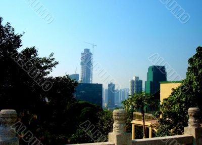 Crane In City Skyline