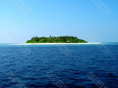 Whole Island And Beach Hut