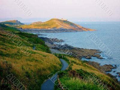 Grassy Hills By Sea