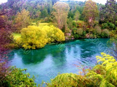 Crystal Clear River Scene 