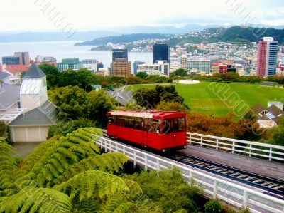 Wellington Cable Car and City