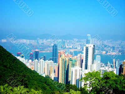 Looking Down On City Skyscrapers