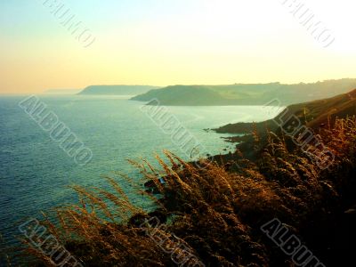 Ferns, Sea and sunset