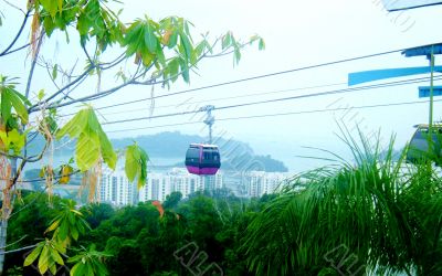 Cable Car Above Jungle