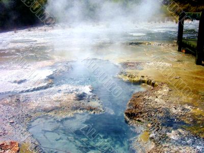 Hot Spring In Mud 