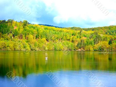 Lake With Forest Backdrop