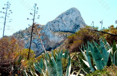 Beautiful Rural Mountain