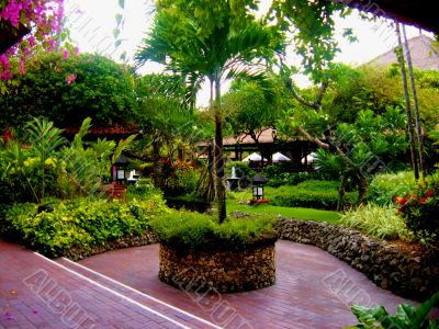 Peaceful Asian Garden with tree