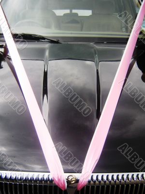 Pink Wedding Day Car Streamers Pink Wedding Day Car Streamers