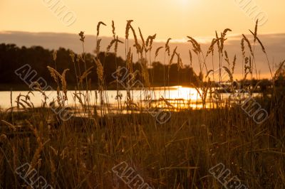 Reflection Of A Setting Sun