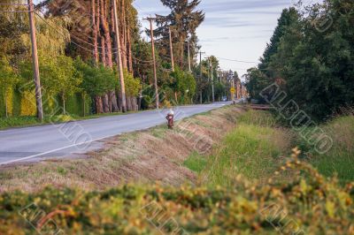 Rural Road