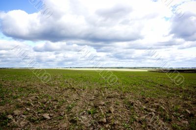 field with horizon