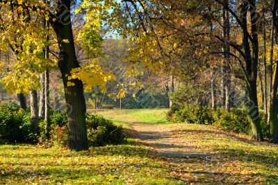 Autumn in Park