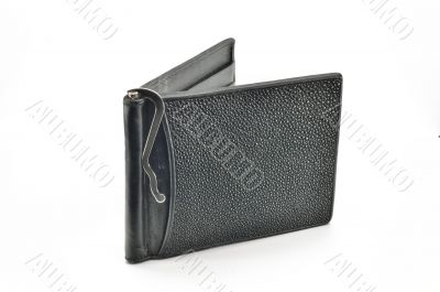Purse with clip for notes