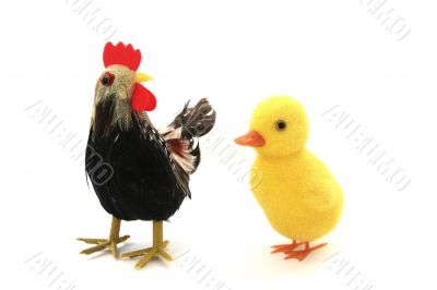 Duckling and cock