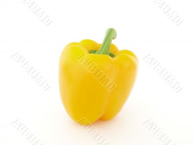 Yellow pepper Yellow pepper