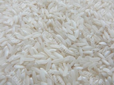 White rice White rice
