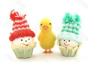 Duckling and eggs Duckling and eggs