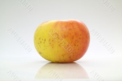 Fresh apple Fresh apple