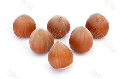 Hazel nuts Hazel nuts