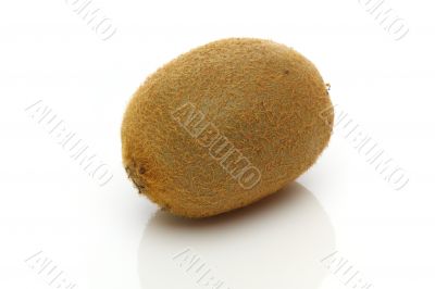 Kiwi isolated on white