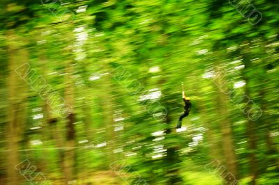 Climbing Forest 2