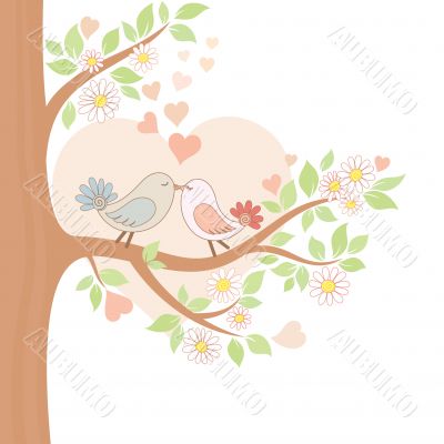 Two kissing birds on the tree Two kissing birds on the tree