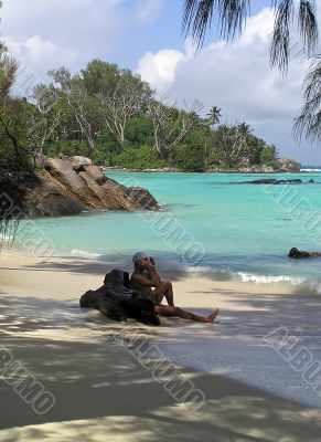 Beautiful tropical landscape. Beautiful tropical landscape.