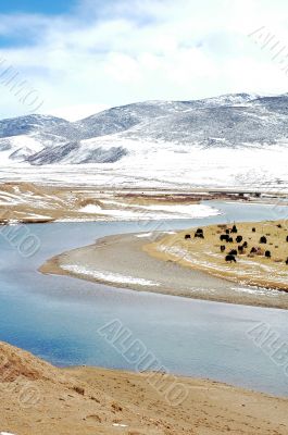 Landscape in winter