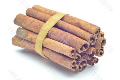 Cinnamon bark