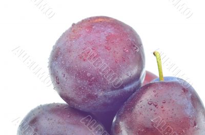 plums on a white background, close-up