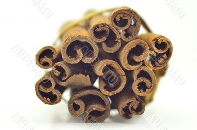 Cinnamon bark