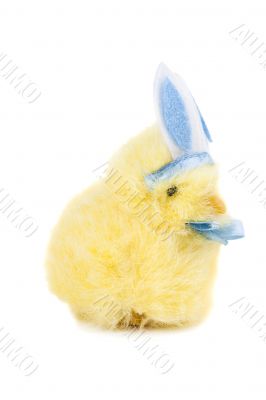 easter chick with bunny ears