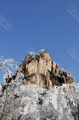 Rime and mountain in winter Rime and mountain in winter
