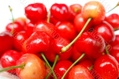 Cherry fruits Cherry fruits