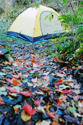 Camping in autumn
