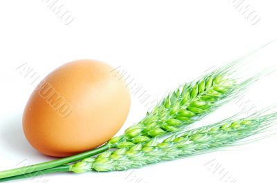 Egg and wheat ear