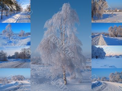 Winter collage