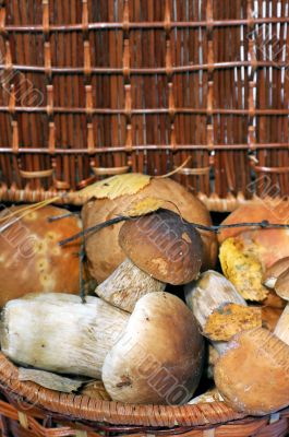 Basket with mushrooms