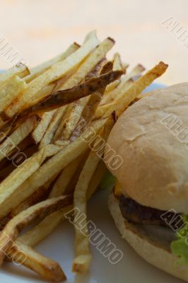 Cheeseburger with Fries on a Plate